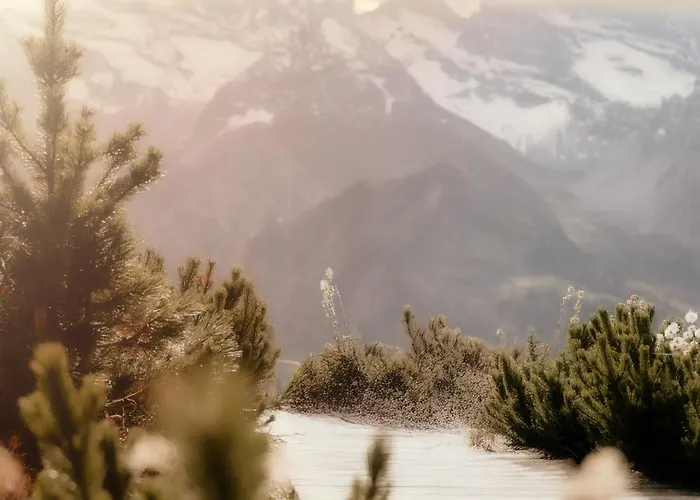 Marie Hébergement de vacances Tux